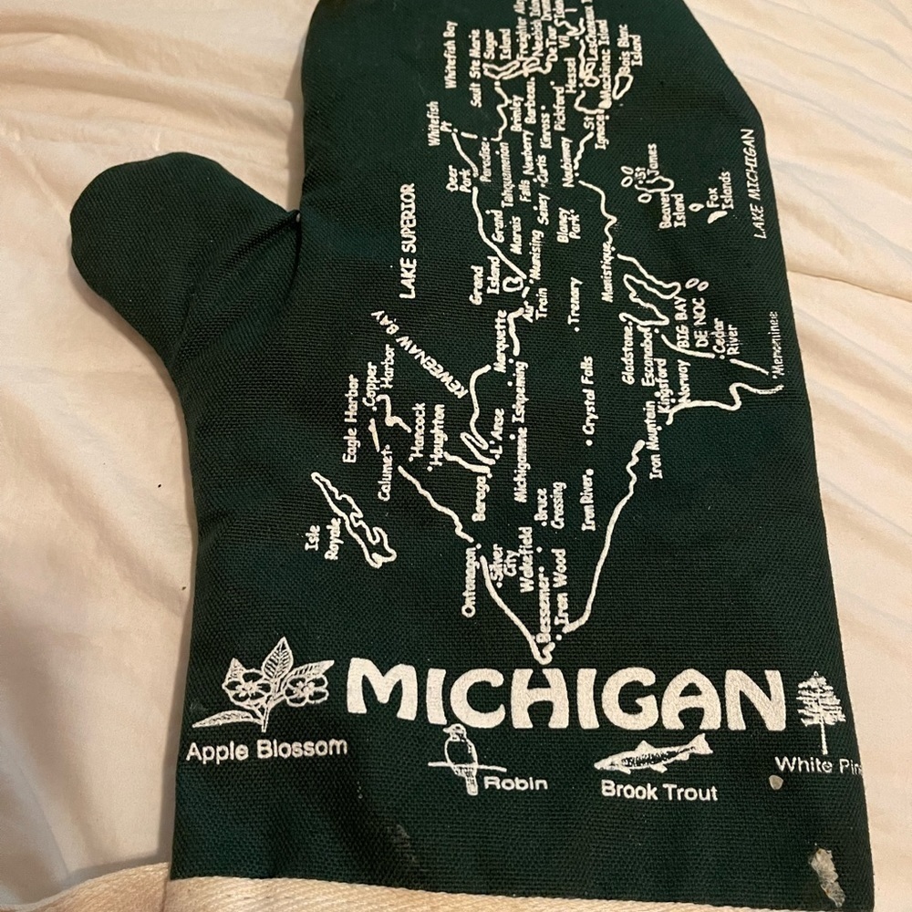 COPY - The Professional Michigan Oven Mitt